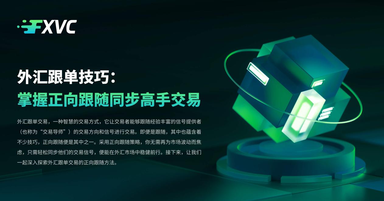 �麣���������